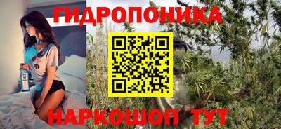 эйфоретик Гусь-Хрустальный
