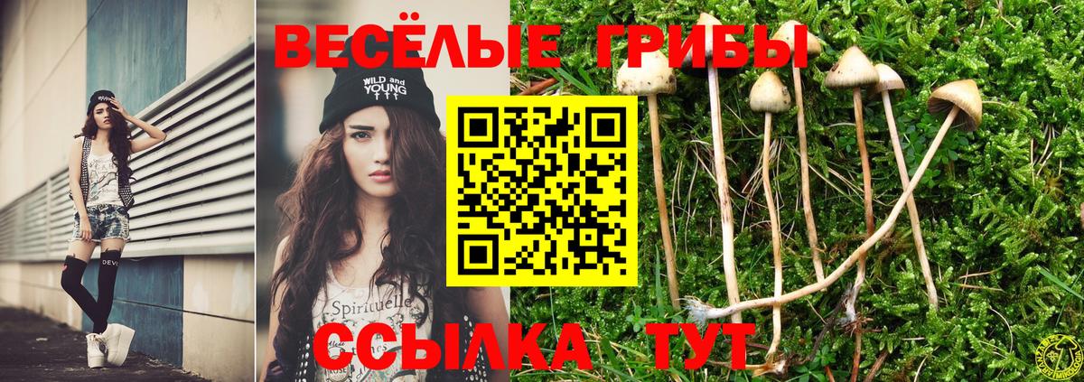 Галлюциногенные грибы GOLDEN TEACHER Озёры